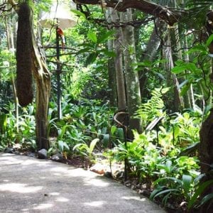 Zoo Ave General Admission Ticket