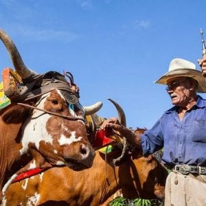 8-Day Arenal and Manuel Antonio Adventure from San Jose