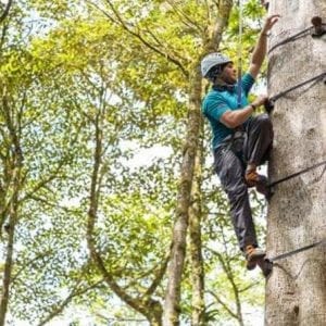 Arboreal Tree Climbing Sky Park From Monteverde