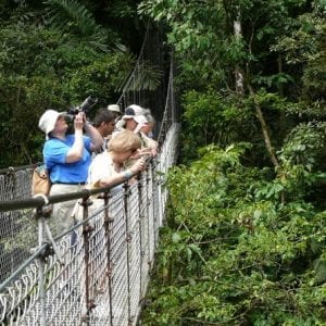 Arenal Hanging Bridges In Mistico Park