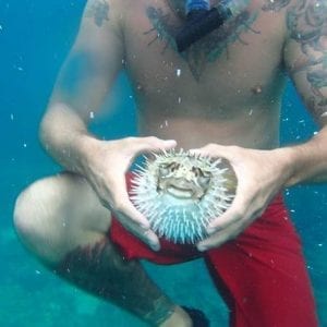 ATV And Snorkel Tour From Playa Hermosa - Coco