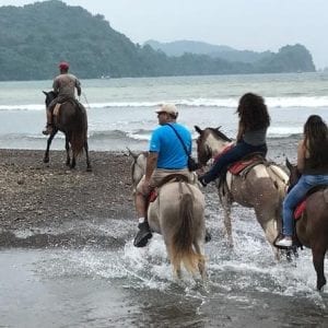 Beach & Rainforest Horseback Riding with Crocodile Boat Tour Shore Excursion
