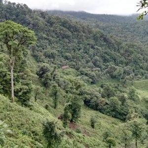 Bird Watching Hike At San Gerardo Reserve