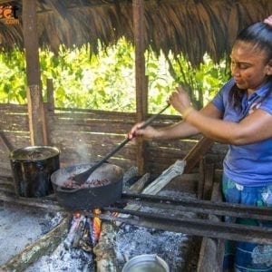 BriBri Chocolate Tour In Puerto Viejo & Cahuita National Park