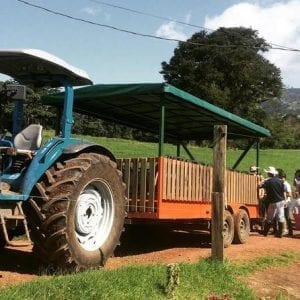 Cafe con Leche from San Jose