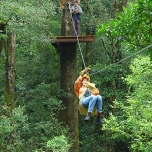 Canopy Tour from Puerto Viejo of Sarapiqu?