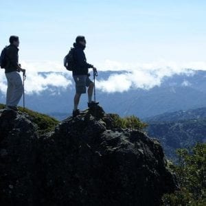 Cerro Buena Vista Guided Hiking and Cloud Forest Wildlife Watching Tour at Talamanca
