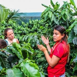 Coffee And Chocolate Private Tour