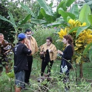 Costa Rica Descens Organic Farm