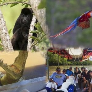 Costa Rican Wildlife: Palo Verde National Park Private Tour