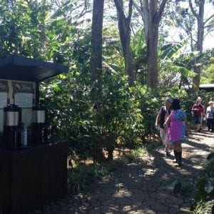 Diamante Coffee Tour from San Jos?