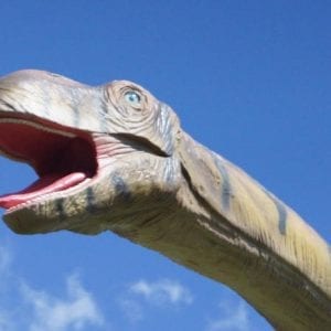 Dino Park And Blue River Resort Adventure In Rincon De La Vieja From Playa Del Coco