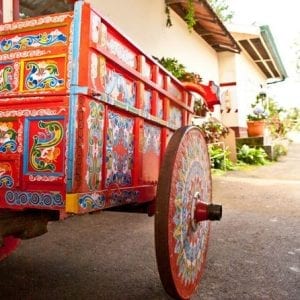 Doka Grecia & Sarchi