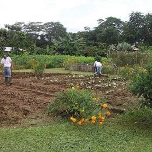 Don Juan's Farm Tour