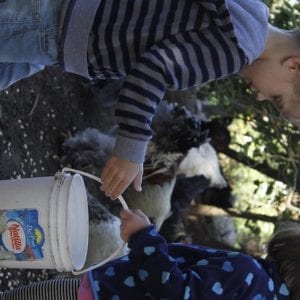 El Terru?o De Los Torres