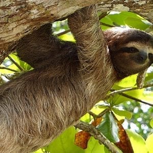 Exotic Landscapes of Costa Rica