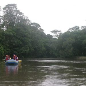 Floating Safari Tour from Puerto Viejo of Sarapiqu?