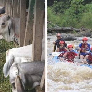 Full Day Combo Kay Rica