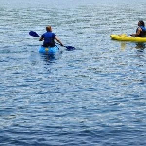 Full Day Kayaking and Animals, Birds Watching Tour at Arenal Lake from San Jose