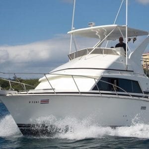 Full Day Sport Fishing Tour From Flamingo Beach