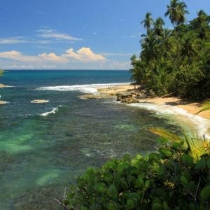 Gandoca-Manzanillo Rainforest Hike