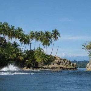 Gandoca Manzanillo Refuge Jungle Hike