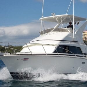 Half-Day Sport Fishing Tour From Flamingo Beach