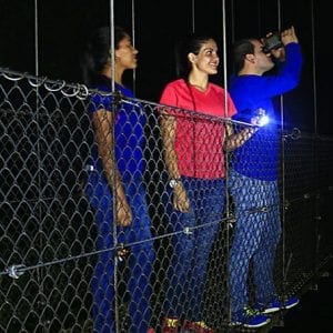 Hanging Bridges Night Time Canopy Tour At Mistico Park