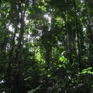 Hiking Cahuita From Puerto Viejo Of Limon