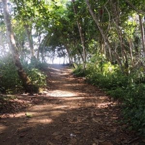 Hiking Gandoca - Manzanillo From Puerto Viejo Of Limon