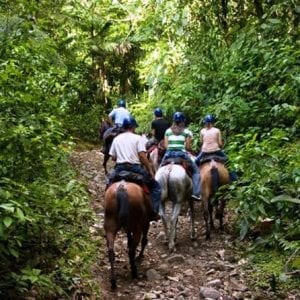 Horseback Riding in Tamarindo