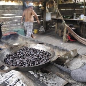 Indigenous Reserve Chocolate And Waterfalls
