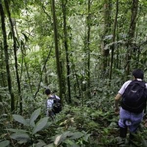 Jungle Trekking Tour Plus