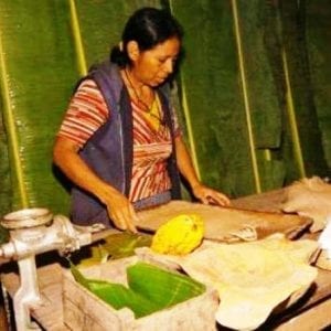 Kekoldi Half Day From Puerto Viejo Of Limon