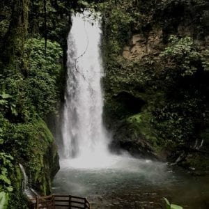 La Paz Waterfall Garden Tour from Tamarindo Guanacaste