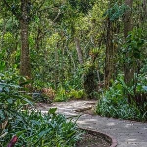 Lankester Botanical Garden - Admission Ticket