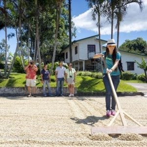 Made in San Jose Adventurous Shopping Tour: Waterfalls, Coffee, Colonial Towns