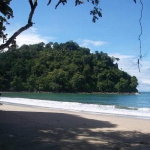 Manuel Antonio National Park Guided Nature Hike