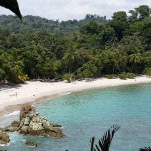 Manuel Antonio National Park Sightseeing and Wildlife Day Tour from San Jose