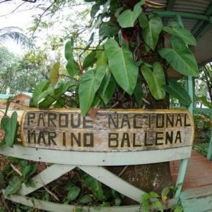 Marino Ballena National Park Hike and Wildlife Watching Tour at Puntarenas