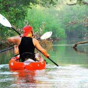 Nosara River Guided Kayak Mangrove And Environment Watching Tour In Guanacaste