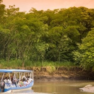 Palo Verde Boat Safari