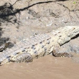 Palo Verde Full Day Combo