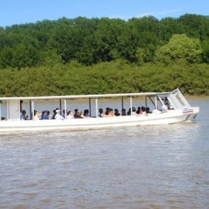 Palo Verde National Park Boat Tour with Lunch