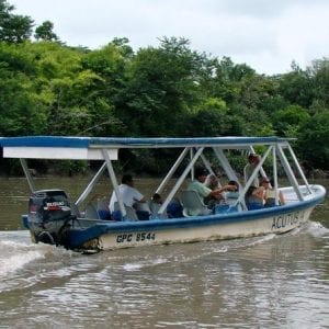 Palo Verde River Eco-Tour from Tamarindo