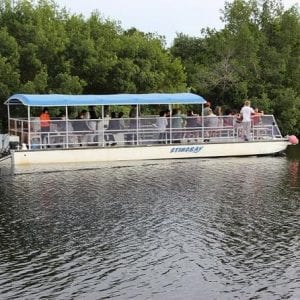 Palo Verde via Bebedero