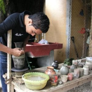 Palo Verde Wildlife Boat Tour From Dreams Resort Guanacaste