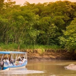 Palo Verde Wildlife Tour from Playa Hermosa-Coco Beach