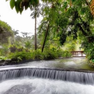 Perfect Combination: Canopy & Tabacon Hot Springs
