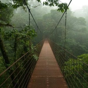 Private Full-Day Trip To Monteverde Cloud Forest